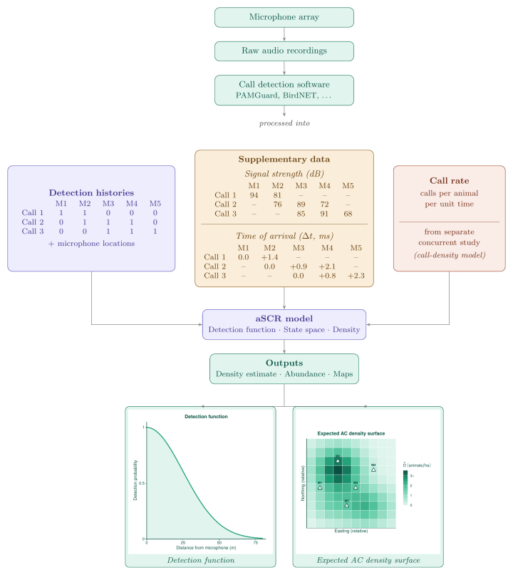 Spatial Capture What is acoustic spatial capture-recapture (aSCR)? – Methods Blog